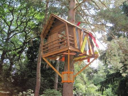 Treehouse Image