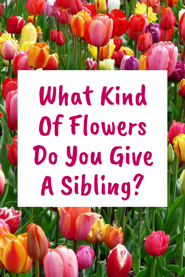 What Kind Of Flowers Do You Give A Sibling?