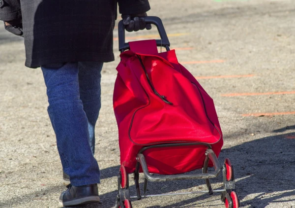 foldable bags with wheels